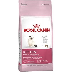 Royal Canin Kitten Kedi Maması, 10 Kg